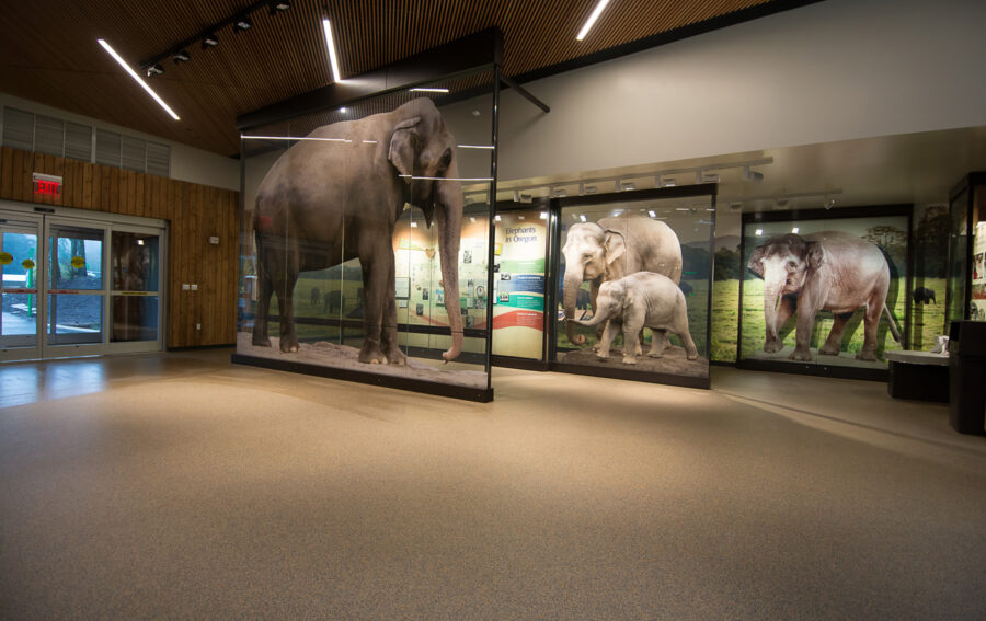 Oregon Zoo photo 2